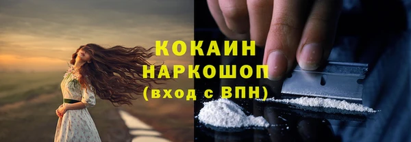 трава Надым