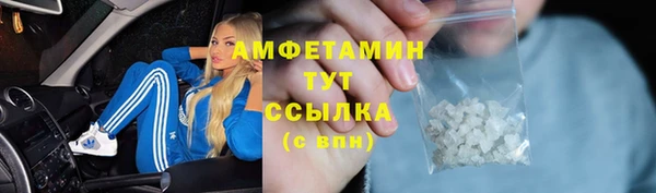 стафф Вяземский