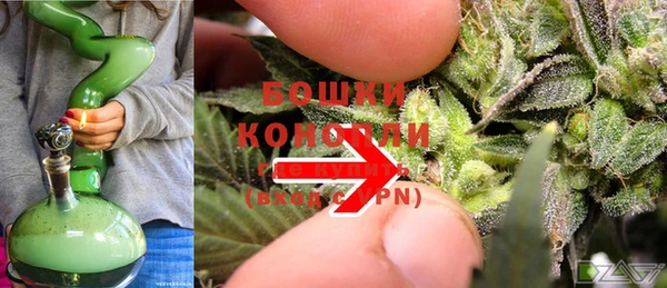 трава Надым