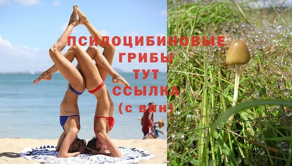 кокаин колумбия Михайлов