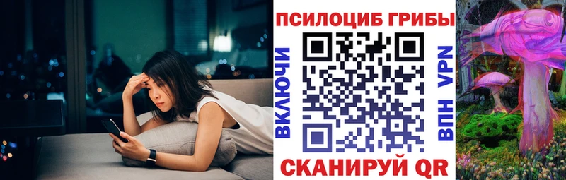 ссылка на мегу ССЫЛКА  нарко площадка Telegram  Псилоцибиновые грибы Psilocybe  Кулебаки 