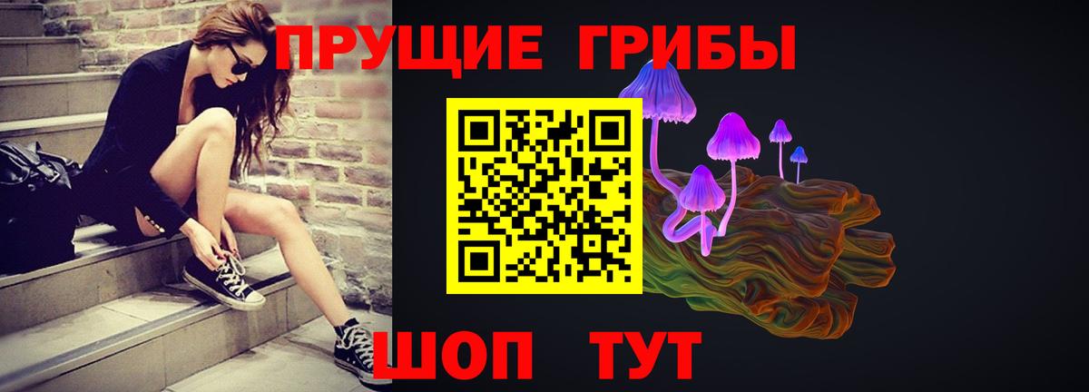 Галлюциногенные грибы Cubensis Кулебаки